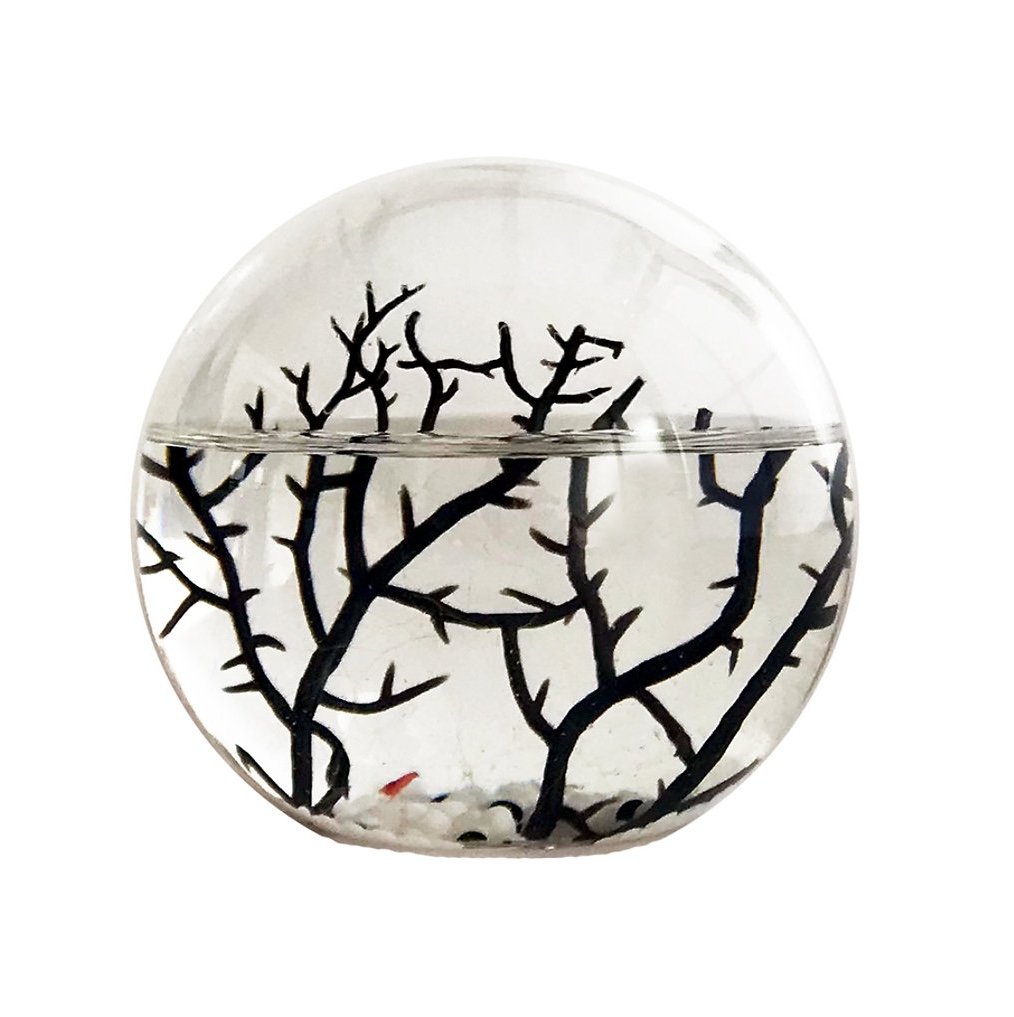 Example of an Ecosphere